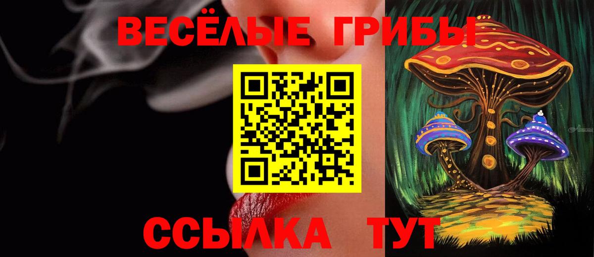 Галлюциногенные грибы прущие грибы Гусь-Хрустальный