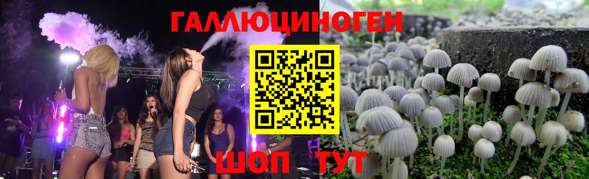 Галлюциногенные грибы Psilocybe  Вход с VPN  Гусь-Хрустальный 