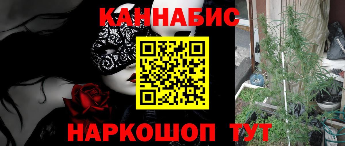 Шишки марихуана сатива  Вход с VPN  Гусь-Хрустальный  МАРИХУАНА план 